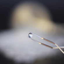 Load image into Gallery viewer, Transparent